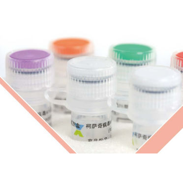 Testkit für Infektionskrankheiten - BEIJING APPLIED BIOLOGICAL TECHNOLOGIES - Störfestigkeit / Viren / Enterovirus