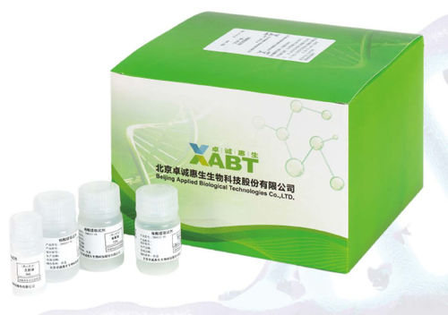 Nukleinsäure-Reagenzkit - CN8033-48 - BEIJING APPLIED BIOLOGICAL TECHNOLOGIES - K-Proteinase / Pufferlösung / für DNA-Extraktion