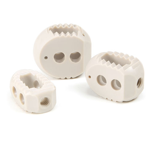 Thorako-lumbales Zwischenwirbelimplantat - 510K-152200 - SurgTech - dorsaler Zugang / aus PEEK