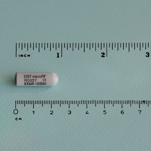 Telemetrisches Implantat / für die Tierforschung - DST microRF-T - Star-Oddi - für Kleintiere / Temperatur / implantierbar