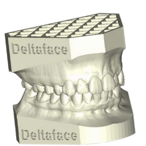 Software für Dentallabor - ARCH BASE - Coruo - für Kieferorthopädie / für Zahnprothese-Design / 3D-Druck