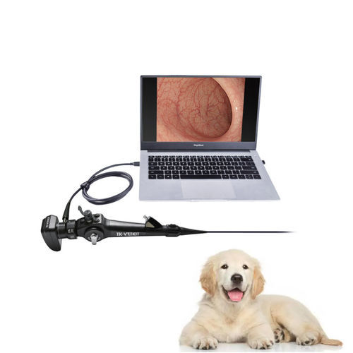 Veterinär-Bronchoskop / Video - EU series - Zhuhai Seesheen Medical Technology - für Kleintiere / für Hunde / mit Arbeitskanal