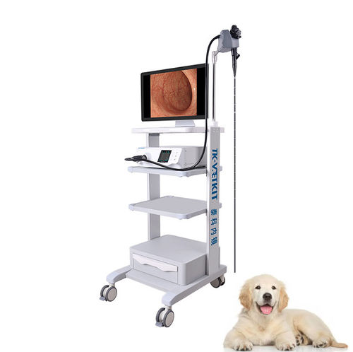 Veterinär-Bronchoskop / Video - GU series - Zhuhai Seesheen Medical Technology - für Kleintiere / für Großtiere / für Hunde