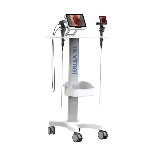 Veterinär-Gastroskop / Video - D-1211 - Zhuhai Seesheen Medical Technology