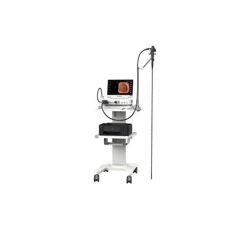 Veterinär-Gastroskop / Video - VHP-1315 pro - Zhuhai Seesheen Medical Technology - für Großtiere