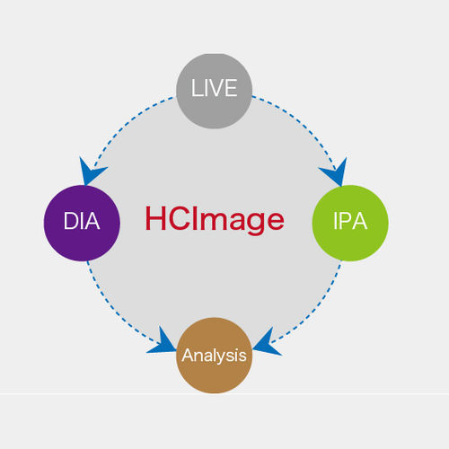 Analysesoftware - HCImage  - Hamamatsu Photonics France - Steuerung / Beschaffung / Projektentwicklung