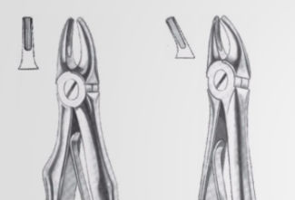 Dentale Extraktionszange / für Prämolaren - 12-48-001, 12-48-002 - J+K Chirurgische Instrumente - für obere Schneidezähne
