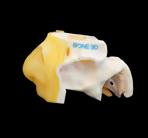 Trainingssimulator - NASO-Train  - Bone 3D - für Nasen-Rachen-Abstrich / Chirurgie / COVID-19