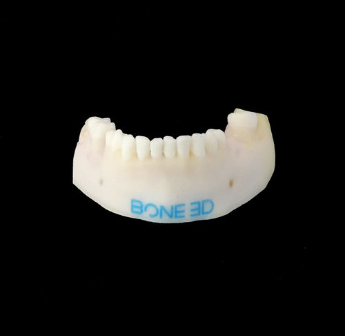 Trainingssimulator - BUCCO-Train - Bone 3D - für Zahnchirurgie / für Oralchirurgie / für Zahnbehandlung