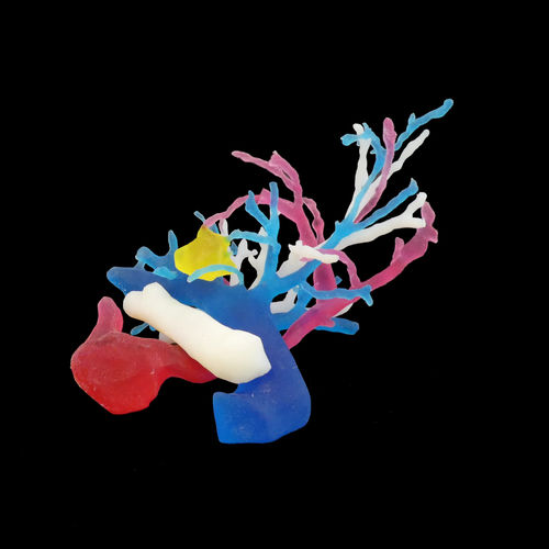 Bronchie anatomisches Modell - Bone 3D - Ausbildung / Handgerät