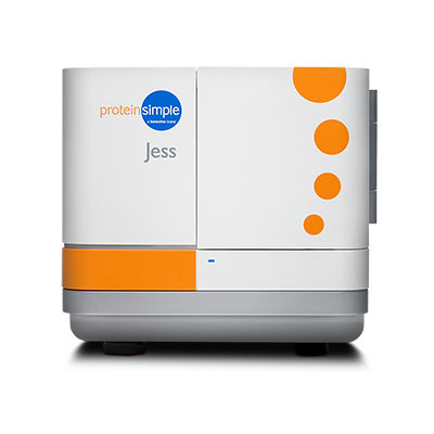 Automatisiertes Westernblot-Analysegerät - Jess - ProteinSimple