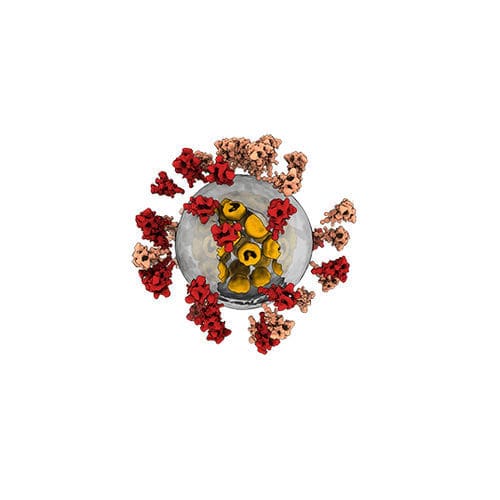 Träger für Ausrüstungen / für biologische Proben - QUANTIFOIL® - SPT Labtech - aus Carbonfolie