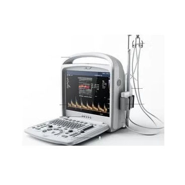 Tragbares Ultraschallgerät - Shenzhen Kenid Medical Devices - für Multifunktions-Ultraschall / Schwarz-Weiß / Farbdoppler
