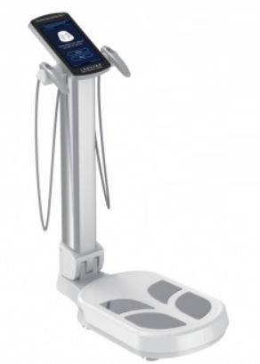 Digitale Körper-Analysewaage - CP10E - Shenzhen Kenid Medical Devices - Plattform