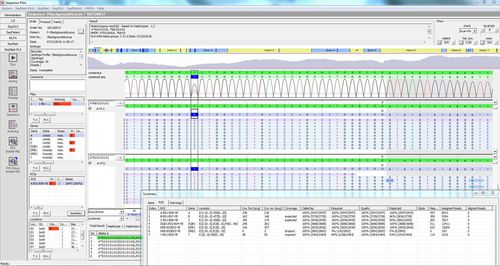 Software-Modul / zur NGS-Sequenzierung - SEQNEXT-HLA - JSI medical systems - Labor / Analyse / Kartografie