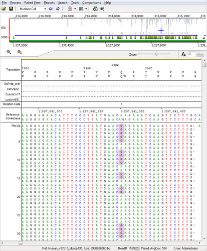 Software zur NGS-Sequenzierung - NextGENe® - SoftGenetics, LLC. - Analyse / Labor