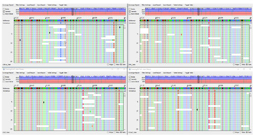 Analysesoftware - GeneMarker®HTS  - SoftGenetics, LLC. - Steuerung / Reporting / NGS