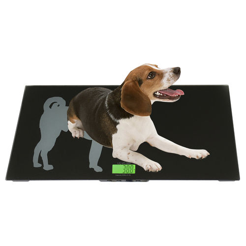 Elektronische Veterinärwaage - LC-VS series - LW MEASUREMENTS Europe S.L. - mit LCD-Display
