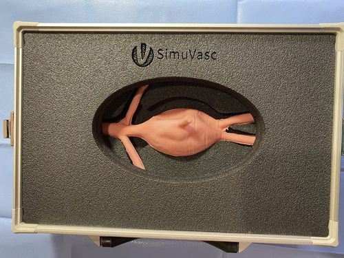 Simulator / Aneurysmus der Aorta abdominalis - AAA - SimuVasc - Ausbildung / für Allgemeinpflege