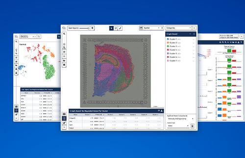 Analysesoftware - 10xgenomics - Visualisierung / Molekularbiologie / Windows