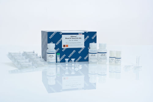Reagenzkit für DNA-Extraktion - DNeasy - QIAGEN - als Lösung / für wissenschaftliche Forschung / für Blutproben
