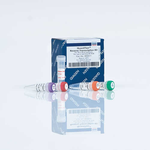 Reagenzkit für RT-PCR - QuantiTect - QIAGEN - umgekehrte Transkriptase / für cDNA-Synthese / genomische DNA
