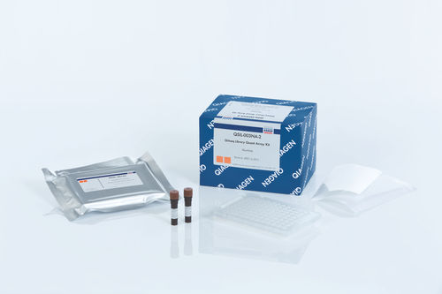 Testkit für forensische Anwendungen - GeneRead  - QIAGEN - für Echtzeit-PCR / zur NGS-Sequenzierung / zur Sequenzierung