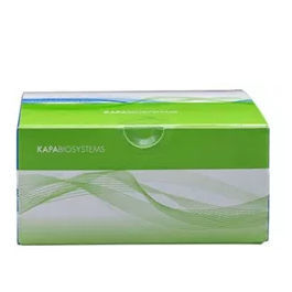 Reagenzkit / als Lösung - KAPA - Roche Sequencing Solutions - DNA-Polymerase / für Forschungszwecke / NGS