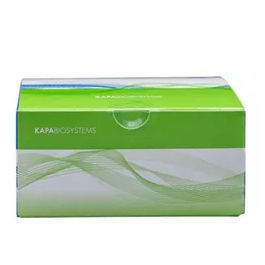 Reagenzkit / als Lösung - KAPA HyperPlus - Roche Sequencing Solutions - für Forschungszwecke / NGS