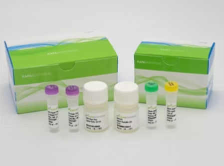 Reagenzkit / als Lösung - KAPA HyperPrep  - Roche Sequencing Solutions - DNA-Polymerase / für Forschungszwecke / NGS