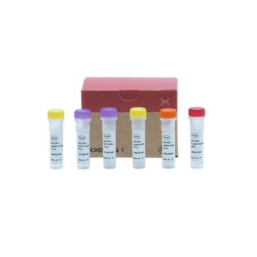 Reagenz / Ligase ADN - AXELIOS 1  - Roche Sequencing Solutions - umgekehrte Transkriptase / Enzyme / für neuartige Sequenzierung