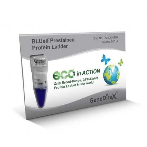 Proteinskala-Reagenz - BLUelf   - GeneDireX, Inc. - für Western Blot