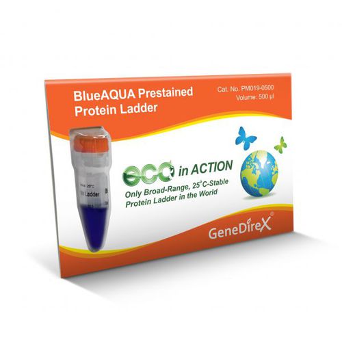 Proteinskala-Reagenz - BlueAQUA - GeneDireX, Inc. - für Western Blot