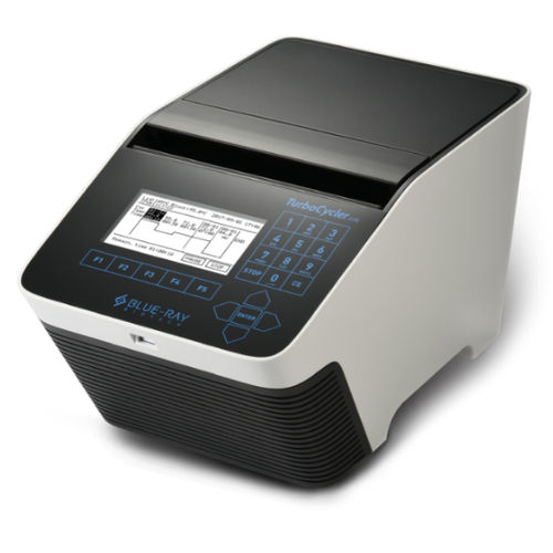Thermocycler mit Gradient - TurboCycler Lite - Blue-Ray Biotech - 96 Well