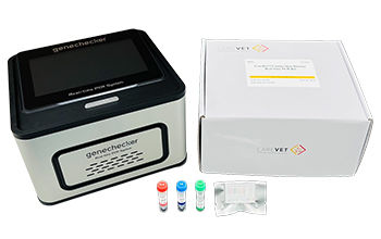 Testkit für Veterinärmedizin - CareDx™ - Genesystem Co., Ltd. - für Hunde / Echtzeit / für PCR