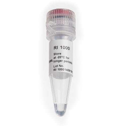 Taq-Polymerase-Reagenz - RNAok™ - SMOBIO Technology, Inc. - umgekehrte Transkriptase / RNase-Inhibitor / für RT-PCR