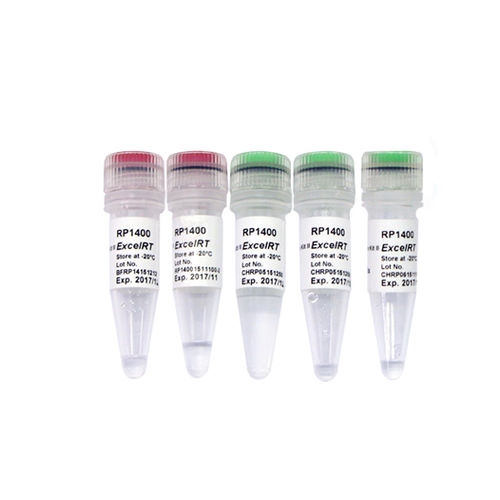 Reagenzkit / umgekehrte Transkriptase - ExcelRT™ - SMOBIO Technology, Inc. - für Echtzeit-PCR / pH / Viren