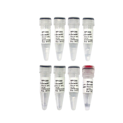 Reagenzkit / umgekehrte Transkriptase - ExcelRT™ - SMOBIO Technology, Inc. - für cDNA-Synthese / pH / Glycerol