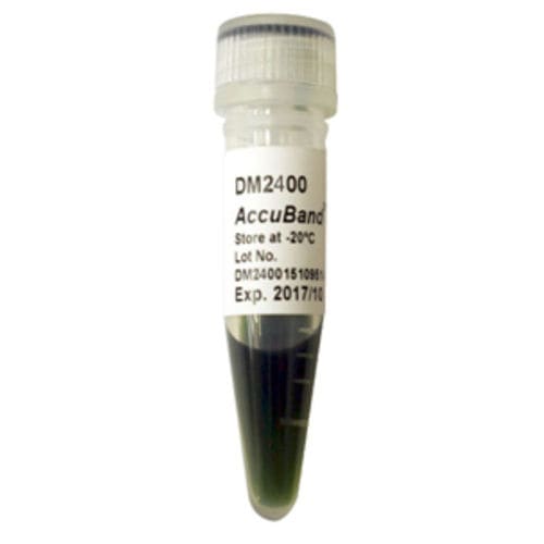 DNA-Skala-Reagenz - AccuBand™  - SMOBIO Technology, Inc. - Agarosegel / Enzyme / Farbstoff