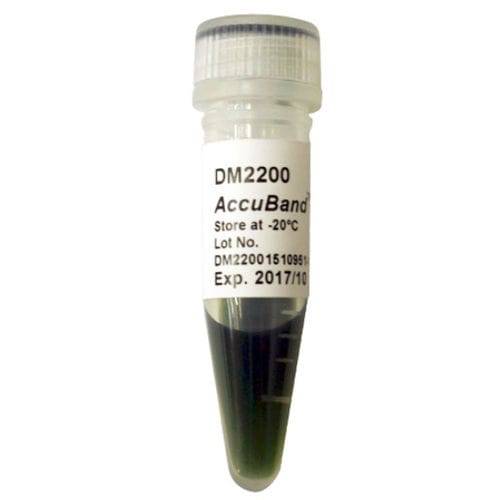 DNA-Skala-Reagenz - AccuBand™  - SMOBIO Technology, Inc. - Farbstoff / für Elektrophorese / pH