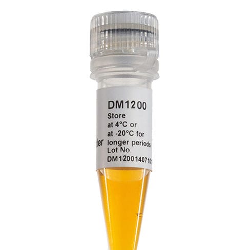DNA-Skala-Reagenz - DM1200 - SMOBIO Technology, Inc. - Enzyme / Farbstoff / für Elektrophorese