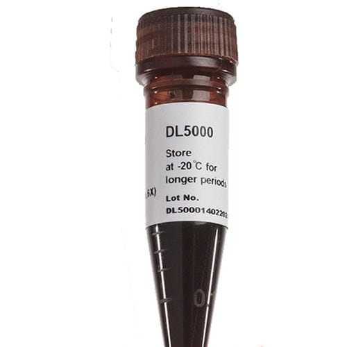 Farbstoff Reagenz - FluoroDye™ - SMOBIO Technology, Inc. - für DNA-Extraktion / Glycerol