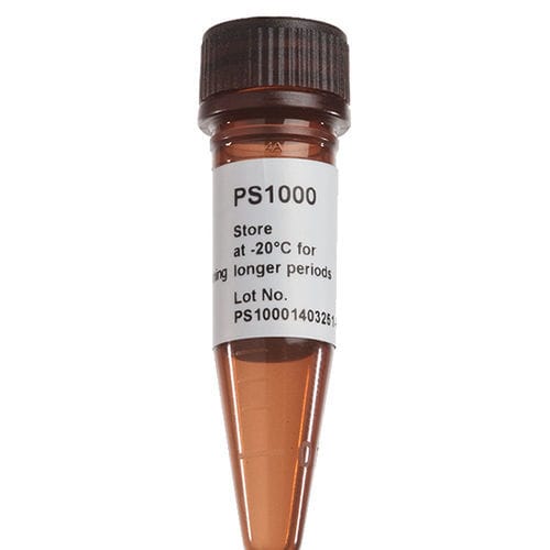 Färbelösungs-Reagenz - FluoroStain™ - SMOBIO Technology, Inc. - Farbstoff / für Mikrobiologie / Protein