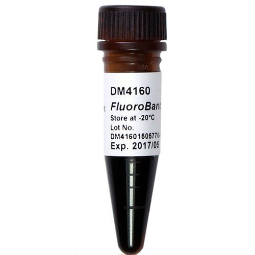 DNA-Skala-Reagenz - FluoroBand™ - SMOBIO Technology, Inc. - Enzyme / für DNA-Extraktion / pH