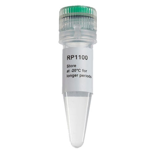 Enzyme-Reagenz - ExcelRT™ - SMOBIO Technology, Inc. - für PCR / für RT-PCR