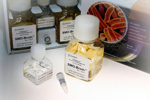 Testkit für Infektionskrankheiten - Champion™ - SMOBIO Technology, Inc. - Escherichia coli / für Zellen