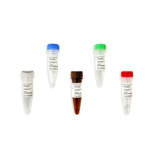 Enzyme-Reagenzkit - IdPath™ - SMOBIO Technology, Inc. - für Kliniken / für Forschungszwecke / Labor