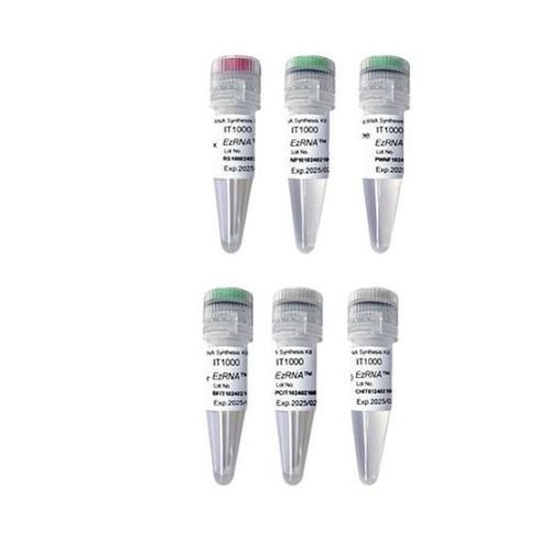 Enzyme-Reagenzkit - EzRNA™ T7  - SMOBIO Technology, Inc. - für In-vitro-Transkription / für RNA-Synthese / Chlorid