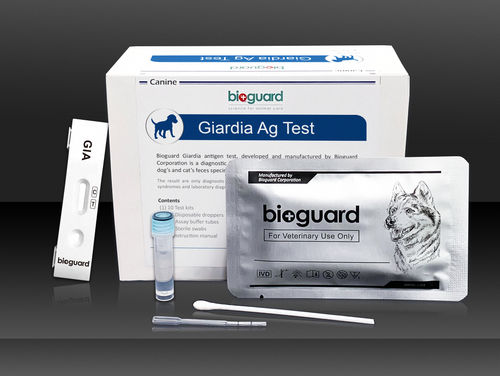 Schnelltest für Infektionskrankheiten - Giardia Ag - Bioguard corporation - für Hunde / Exkremente