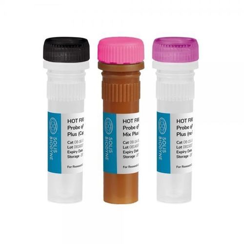 Reagenzkit / als Lösung - HOT FIREPol® Probe qPCR Mix Plus (ROX) - Solis BioDyne - DNA-Polymerase / Taq-Polymerase / zur ADN-Quantifizierung